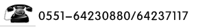 服務(wù)熱線(xiàn)：13998259829
